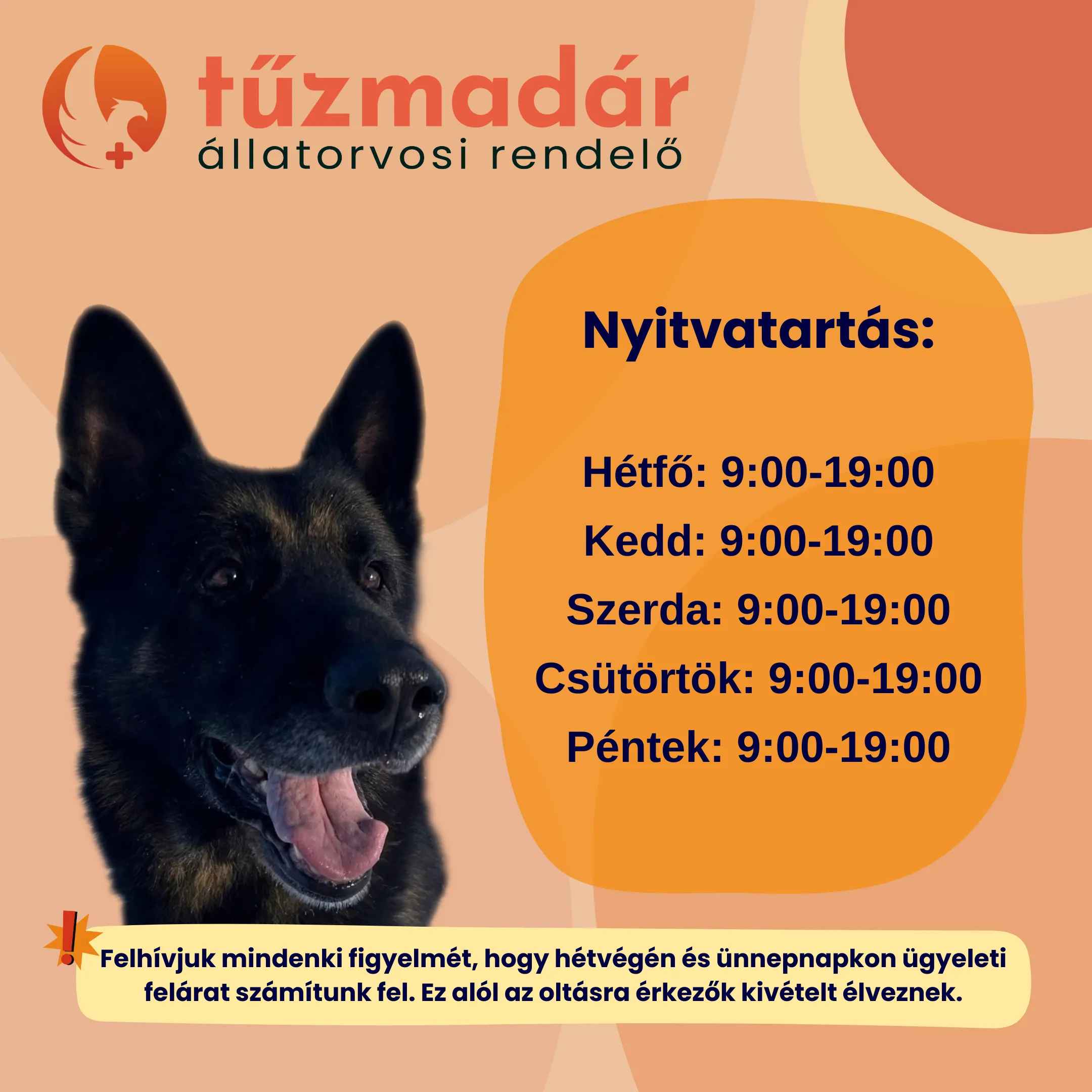 Tűzmadár Állatorvosi Rendelő